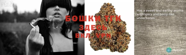 кокс Каменка
