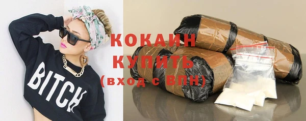 кокс Каменка