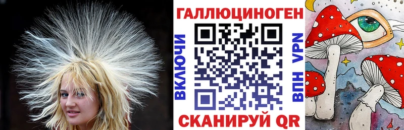 дарк нет наркотические препараты kraken зеркало Ачинск цена наркотик Псилоцибиновые грибы Cubensis