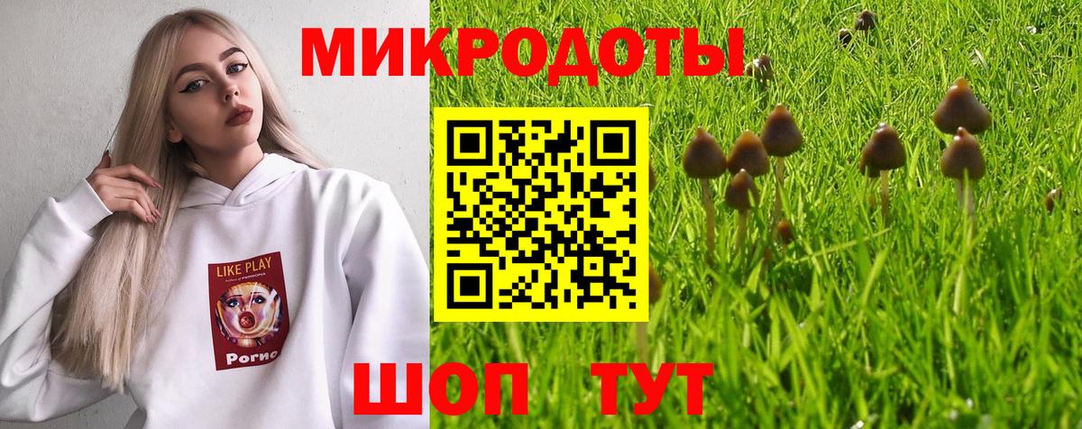 Псилоцибиновые грибы прущие грибы Ачинск